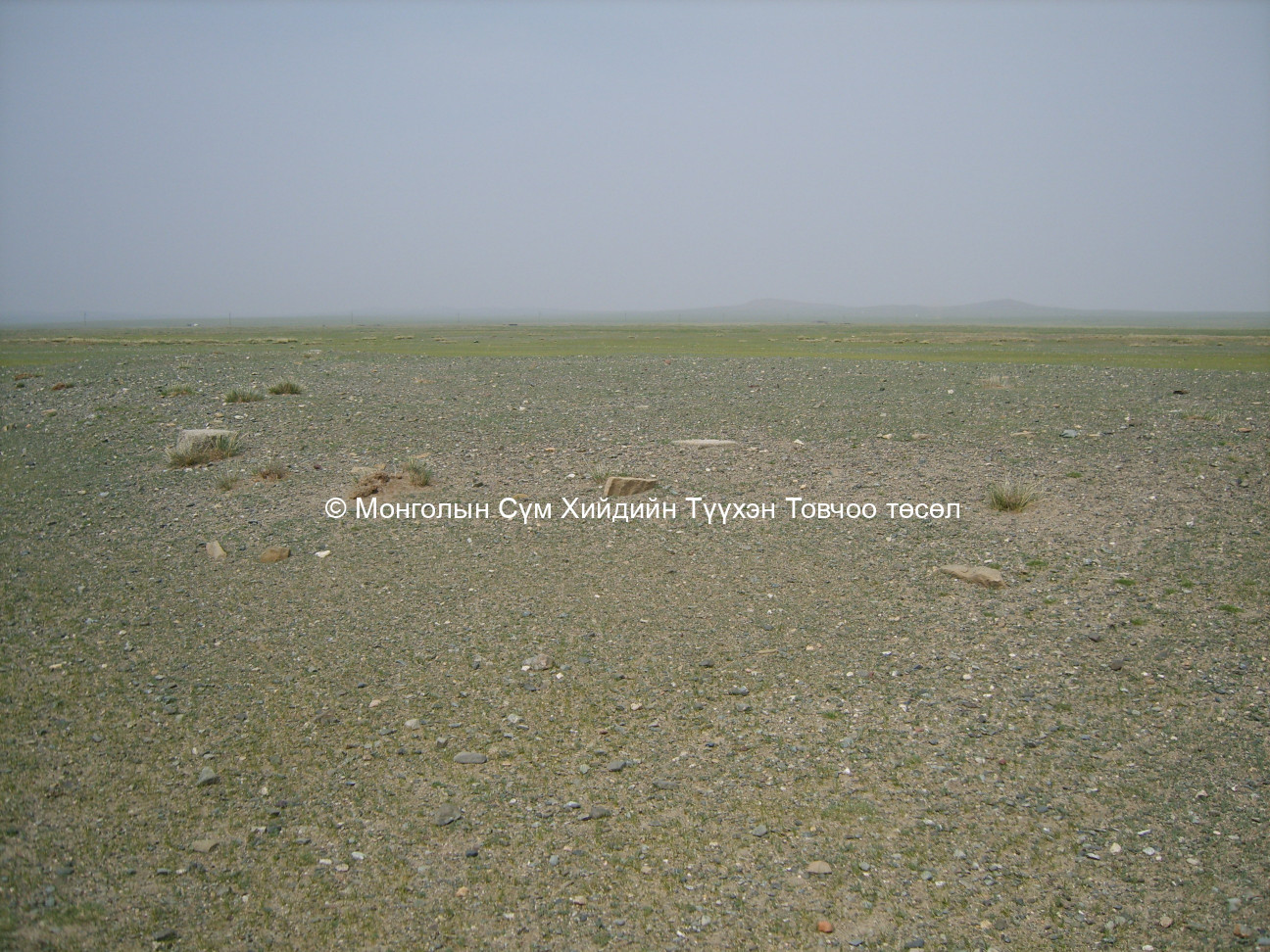 Дуганы туурь